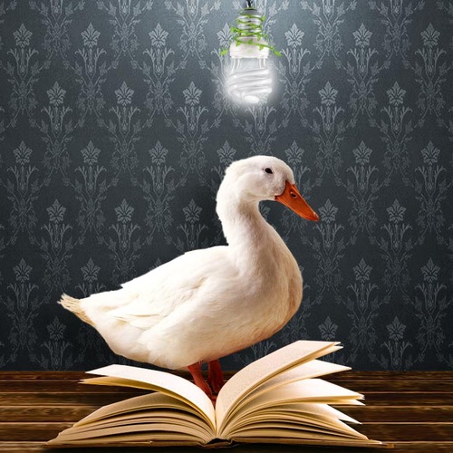 Leer para aprender! → ɐpɹәudәɹ pɐɹɐ lәәɹ !
Atrévete a descubrir, infórmate, comparte, ve mas alla de lo que sabes.
Un poco sarcástico, Sr.Duckwise me dicen!