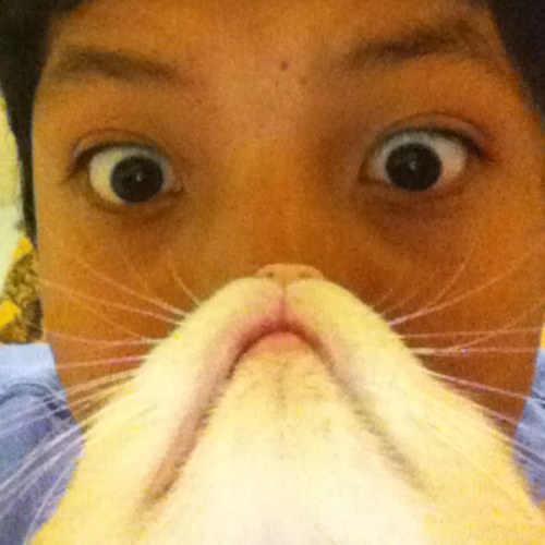 Chico02312's profile picture. 