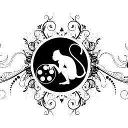 dcmonkeyfilms's profile picture. We make videos!