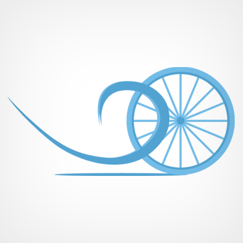 Fahrradhändler in Lübeck, individuelle Gestaltung, Birdy Liebhaber