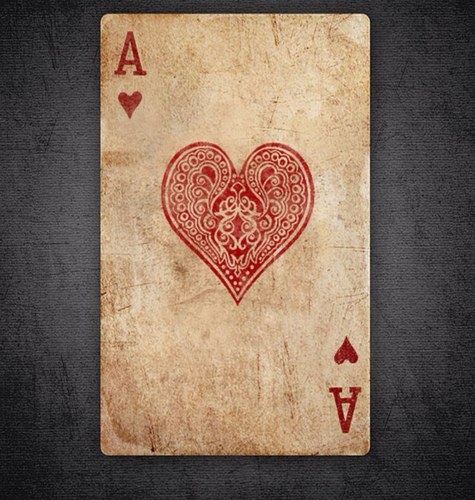 LisaZand's profile picture. 