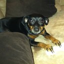 John Cagle - @jcagle88 - Twitter