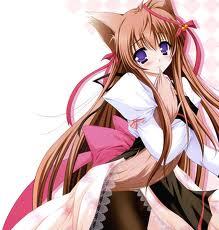 i am 15 years old/my name is aerezi/i have a fox tail and cat ears/sister: @jailed__yuki_