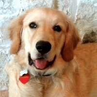 Cheerio Walker (@cheeriowalker) 's Twitter Profile