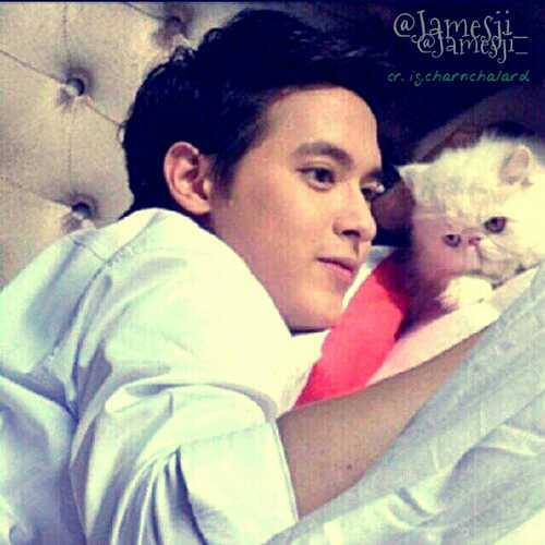 ✲ เจมส์ จิรายุ ตั้งศรีสุข
✲ สุภาพบุรุษจุฑาเทพ / คุณชายพุฒิภัทร
✲ รักสุดฤทธิ์
✲ IG&real @jirayu_jj
✲ อัพเดตผลงานของเจมส์จิรายุ