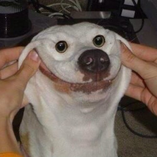 I tweet funny stuff, follow me, just for fun :)