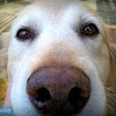 Lorri Simpson - @lorribrat - Twitter