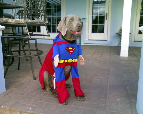 jwyatttwo's profile picture. Conservative boomer from the Big Easy, fishing, history, historic preservation, cooking, politics, investing, and volunteering.