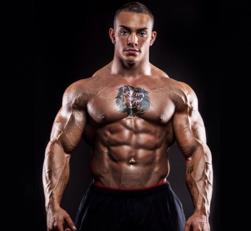 Tristenesco's profile picture. Bodybuilding is what i live for.