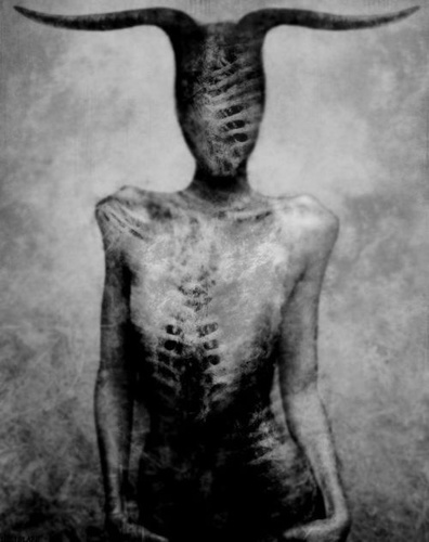 Carlene_S's profile picture. Be kind towards animals.