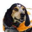 Kris Miles - @kris4vols - Twitter