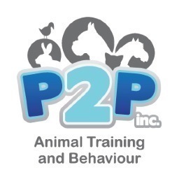 Sharing pet training advice and adventures in #yyc.
20 Recall Games on https://t.co/SksV7Fw31d