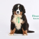 Michelle Culotta - @Michelleygrace - Twitter