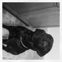 Gavin Hunter - @gavin26 - Twitter