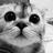 AlishaTorres6's profile image
