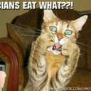 Jerome conner - @Mustang365 - Twitter