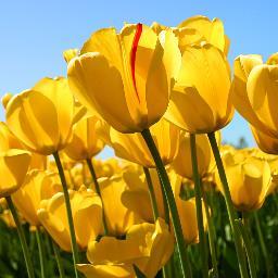 高田真由 Xxpapi78 Twitter 高田真由 Xxpapi78 Twitter