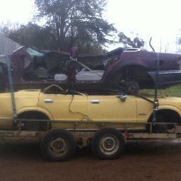 tabitha356's profile picture. 