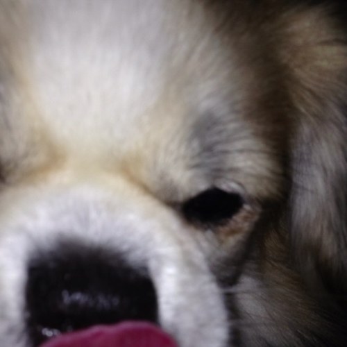 BGranholt's profile picture. 