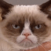 Really Grumpy Cat (@grumpycatspeaks) 's Twitter Profile