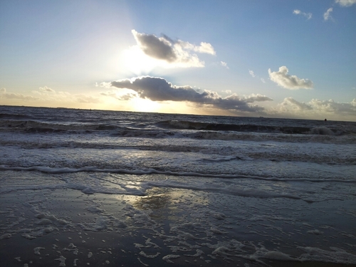 dokic_andrea's profile picture. 