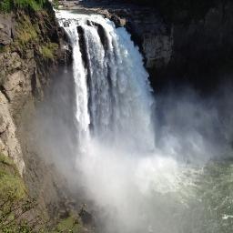 Drinadeedee's profile picture. 