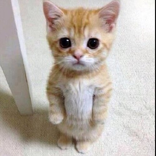 wanco_wanco's profile picture. 