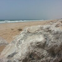 الأشخرة (@alashkharah) Twitter profile photo