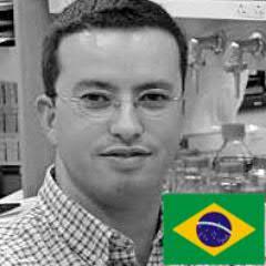 Engenheiro, casado, 1 filhão. Caboclão carioca suando em Sampa. Português e Inglês.