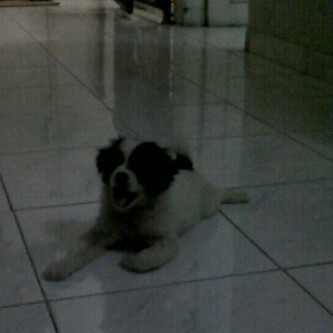 I Love @TeukuRizky99