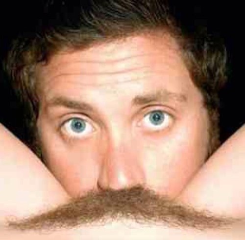 bosstraten's profile picture. 