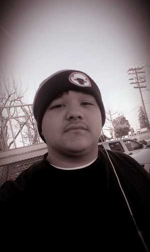 fluffybear831's profile picture. 