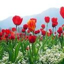 modesta sanchez - @modestasanchez4 - Twitter