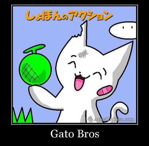 ftpserver1's profile picture. 