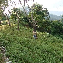 dk67240's profile picture. I like to get tour and want to know about the new place. I also like to make new friend of new places. (http://t.co/qdPcgCJ8G0)