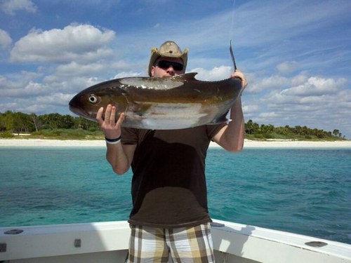 TheKCon1's profile picture. 