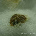 Bob Peng - @a0917239539 - Twitter