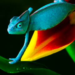 Home of the @BioMedCentral #openaccess animal and plant science journals.