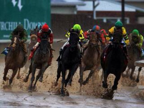 hurtadoleonvet's profile picture. 