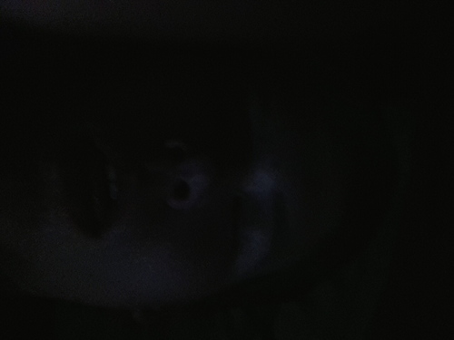 w2433544sy's profile picture. The Real Estate Service Group is a Full Service Real Estate Sales Team servicing the Greater Rochester NY Area!