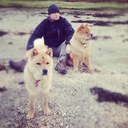 Robert Watt - @Rob_Watt_ - Twitter