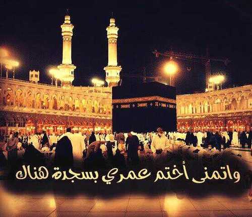 لاآله الآ اللّه 

أحيانًا نرى في الظلام ، وأحيانًا نضيع في الضوء.