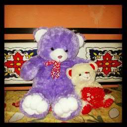 ProgCommunity's profile picture. 