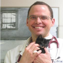 Diplomate of the American Board of Veterinary Practitioners, Canine and Feline Species Specialist and Certified Canine Rehabilitation Practioner.