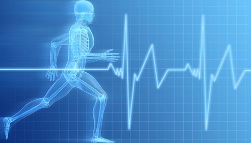 Fitness technology, fitness gadgets, fitness equipment and fitness gear - news, reviews and opinions from BurnTech.TV