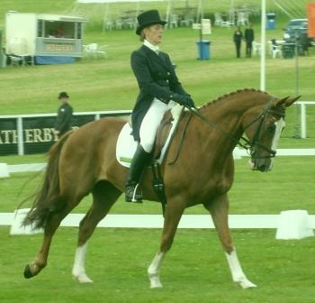 Professional Event Rider, three day eventing, instructor and working mum. Hope you enjoy following my hectic life!
