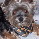 Donna Cipriano - @mrscips - Twitter