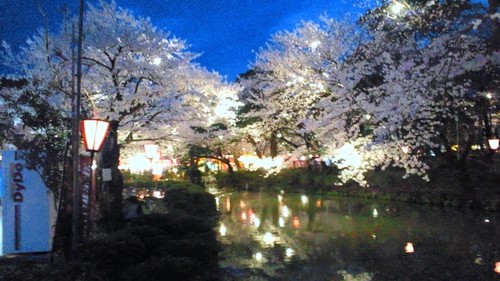 generalrougett's profile picture. 30代、既婚者、一児のパパ。
先天性心疾患(左室型単心室)
大血管転位症
慢性心不全(ステージD)
よろしくお願いします。
sky➞カニ教