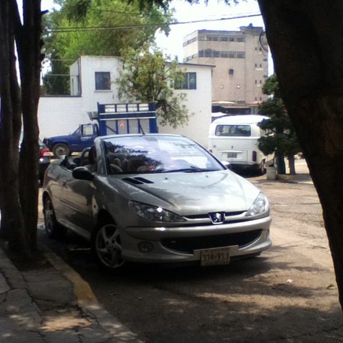 alvezbuzo's profile picture. 