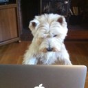 julie Budge - @BudgeJulie - Twitter